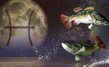 属羊双鱼座性情特征 属羊双鱼座性情特征