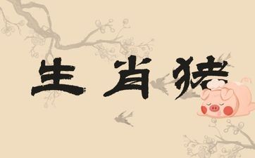 属相猪时辰越晚越好命吗