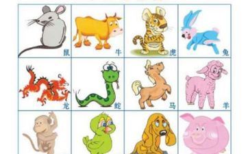 属羊人射中注定的另一半属相