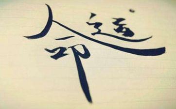 2005年属鸡男终身的命运