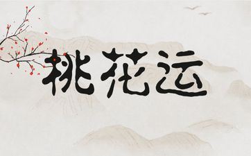 属猪人桃花运旺年份