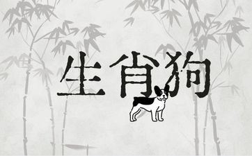 属相狗哪些年份发横财