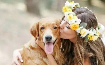 2024年属狗的是一个坎吗 2024年属狗的是一个坎吗