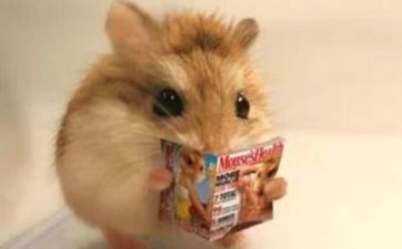 属鼠男人和属马女人般配吗