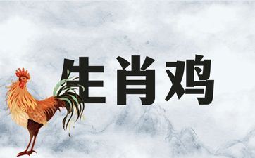 属相鸡未来十年运程攻略