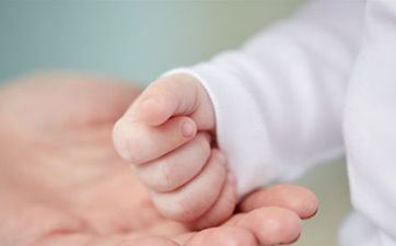 十二月的猪宝宝的命运怎么样 鼠头猪尾好吗