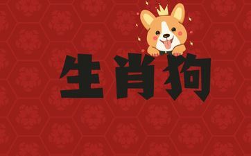 1982年属相狗终身三大劫难