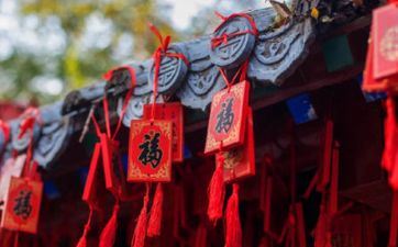 属猪人2025年犯太岁是什么意思?运势怎么呢?