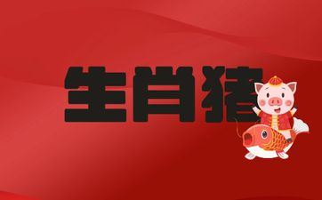 1995年属相猪30岁往后财气怎么