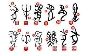 与属马人更相配的几个属相