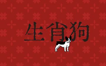 属相狗二婚女人能娶吗？