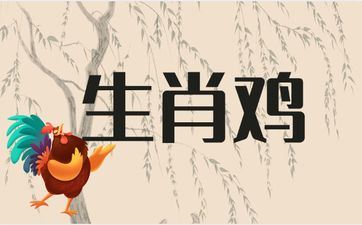 简单被属相鸡女招引的属相男