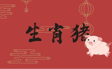 属相猪2025年运势上的喜事