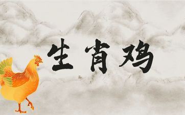 属相鸡的和哪个财神有缘