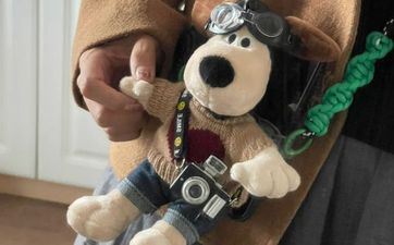 1982属狗人未来十年大运