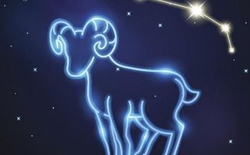 属猪白羊座男生的性格特点