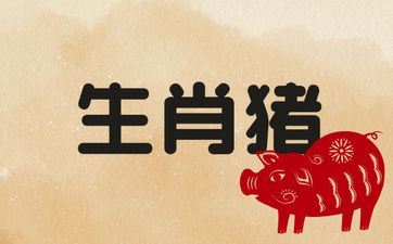 属相猪的成婚忌什么属相当伴郎