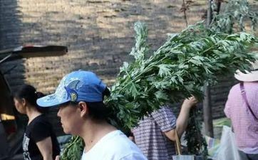 属狗理发店遇杀马特都有什么主意