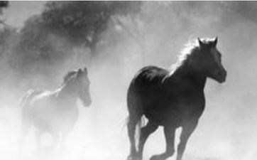 1990年属马人2025年每月运势