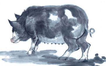 1983年的猪二婚在哪几年