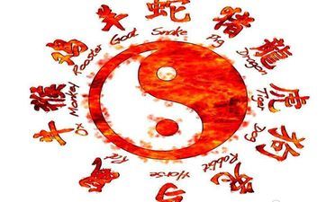 属相羊遇十二属相流年运势