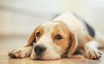 94年各个月的命运