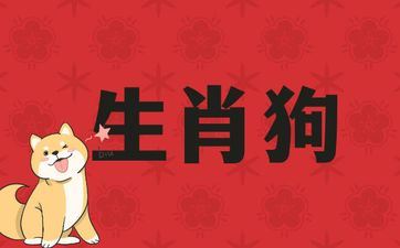 属相狗的人带什么比较好招财