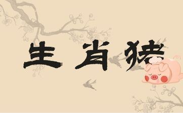 属相猪2025年6月运势