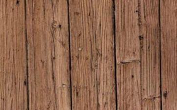 1959年属猪平地木命缺什么