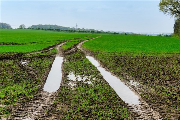 梦到了路上有泥有什么意义