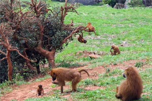 92年出世是什么属相，哪个时节出世命好