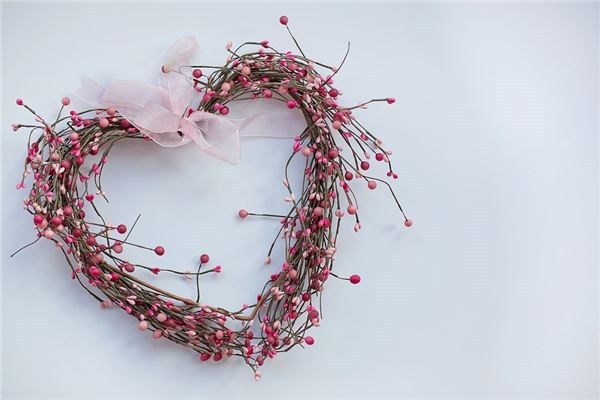 鸡男和鼠女配不配