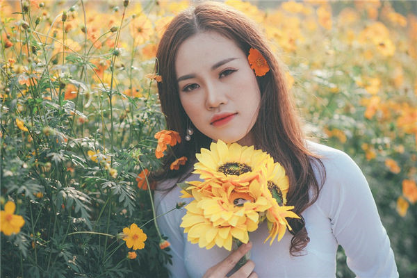 属鸡天蝎座2023年运势