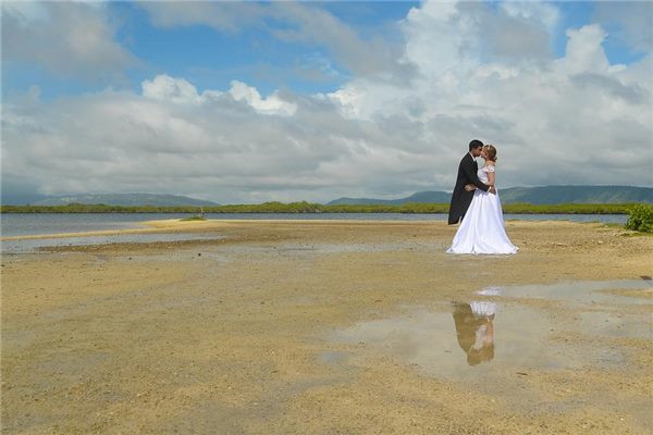 属猴的跟属兔的合不合