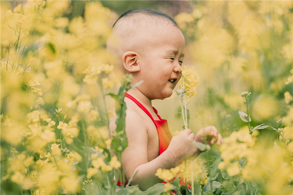 2023兔宝宝袁氏姓名涵义好的字