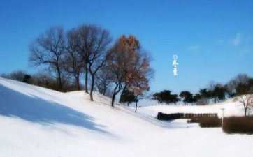 2024年冬月初五出世郑姓女孩姓名