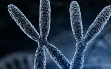 2024年七月廿八出世赖姓男孩姓名 2024年七月廿八出世赖姓男孩姓名