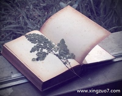 狂月今天运势2025.1.61