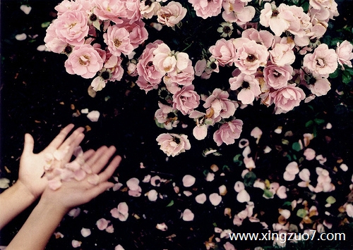 艾菲尔今天运势2025.6.271