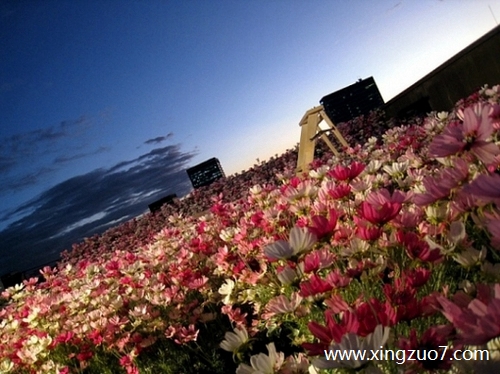 唐立淇今天运势2025.5.231