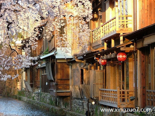 猫石对话今天运势2025.1.6