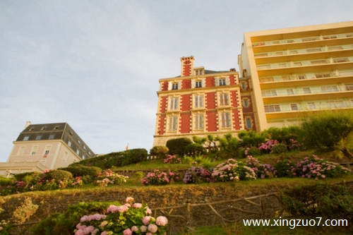 猫石对话今天运势2025.3.281