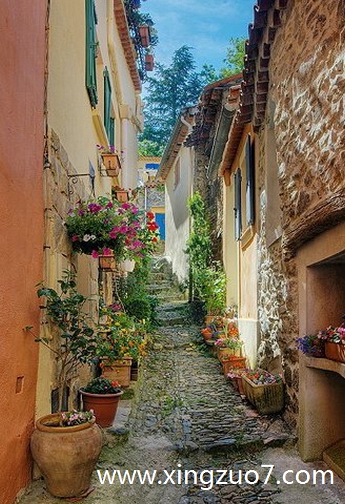 猫石对话一周星座运势(2025.4.21-4.27)1