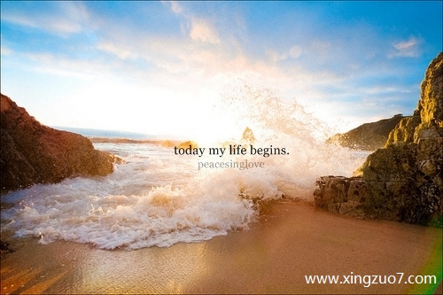 最塔罗今天运势2025.1.61