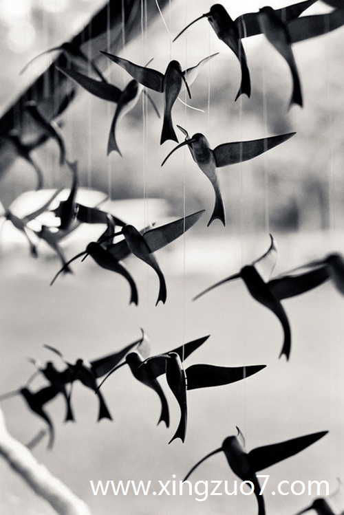 最塔罗今天运势2025.5.231