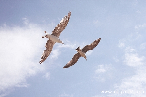 最塔罗今天运势2025.3.311