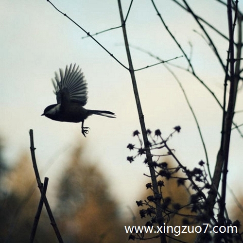 苏珊米勒今天运势2025.3.281