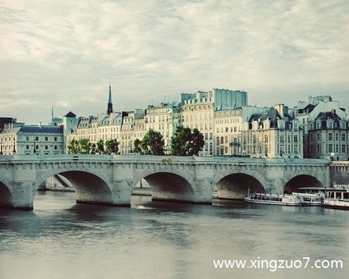 猫石对话一周星座运势(2025.1.27-2.2)1