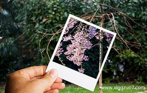 猫石对话一周星座运势(2025.5.5-5.11)1