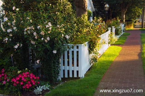 唐立淇今天运势2025.4.211